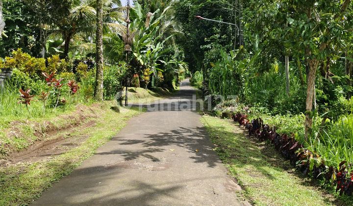 Tanah Datar Siap di Bangun Bebas Banjir Suasana Sejuk Lingkungan Tenang