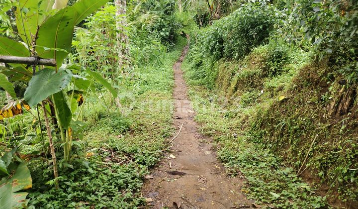 Cantik Tanah Di Jual Los Sungai. Lingkungan Sejuk Nyaman Dan Tenang