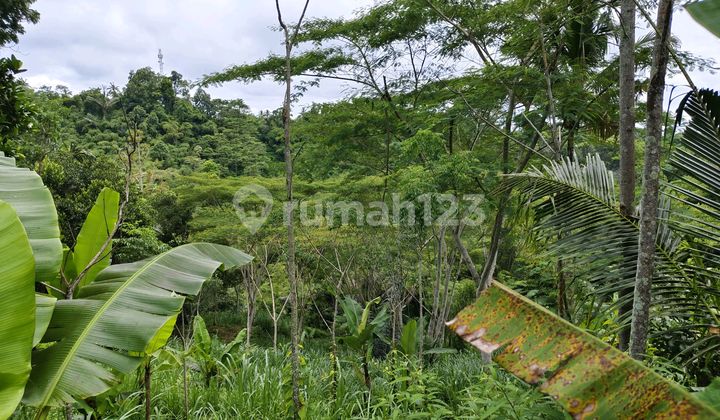 Tanah Terras Sering Dengan Pemandangan Lembah Cocok Untuk Villa Atau Investasi Jangka Panjang