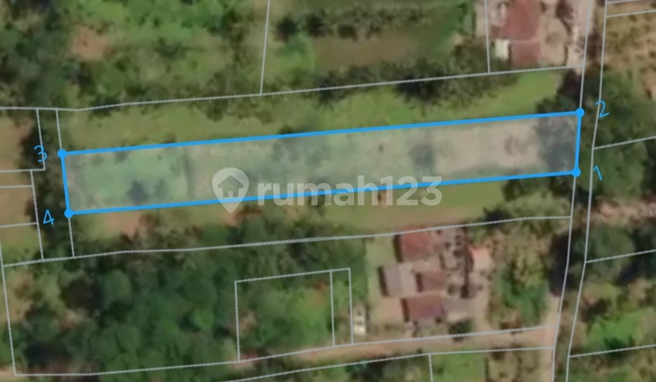 Tanah Murah Tegalalang Balu