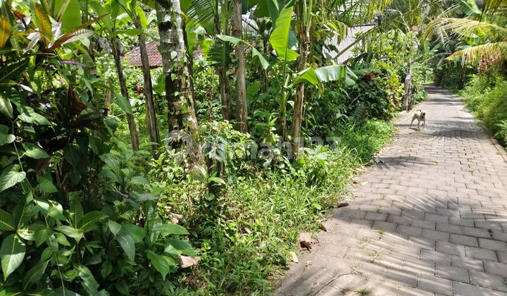 For Sale Flat Land in Villa Los Sungai Area For Sale Flat Land in Villa Los Sungai Area