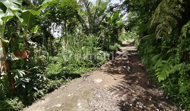 Tanah Murah Di Bali. Butuh Uang Cepat Tanah Datar Siap Di Bangun Tanah Murah Di Bali. Butuh Uang Cepat Tanah Datar Siap Di Bangun