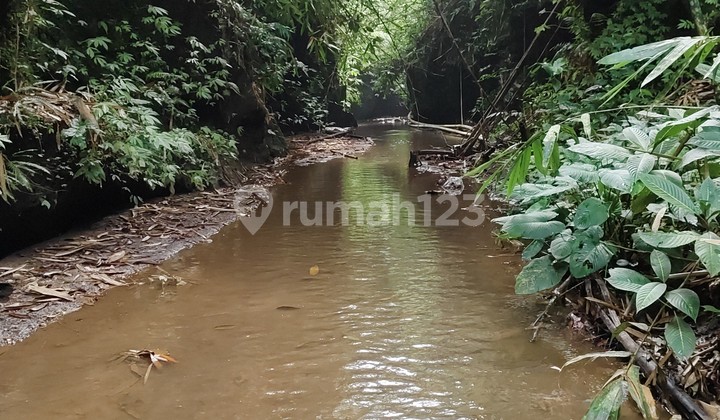 Langka Jarang Ada Tanah Los Sungai View Lembah Langka Jarang Ada Tanah Los Sungai View Lembah