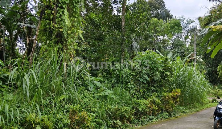Di Jual Tanah Murah Pinggir Jalan Utama Tanah