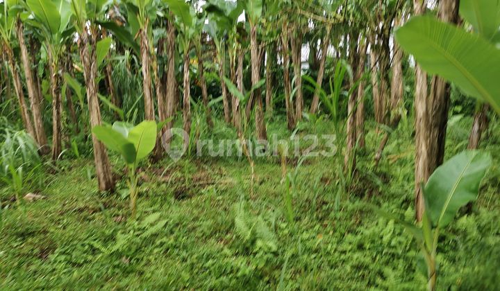 Di Jual Tanah Pinggir Jalan Utama