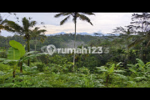 Land With Super Cool Views