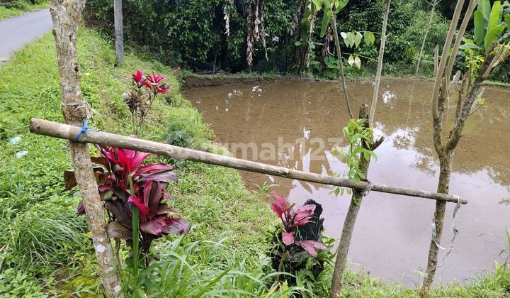 Di Jual Tanah Lokasi Pinggir Jalan. Lingkungan Tenang Dan Nyaman Di Jual Tanah Lokasi Pinggir Jalan. Lingkungan Tenang Dan Nyaman