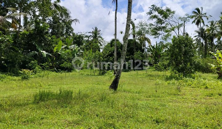 Tanah Datar Siap di Bangun Bebas Banjir Suasana Sejuk Lingkungan Tenang