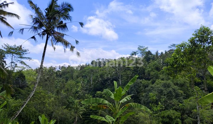 Tanah Los Sungai View Lembah Dan Hutan