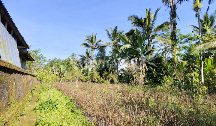 Butuh Uang Cepat. Di Jual Tanah Pinggir Jalan Butuh Uang Cepat. Di Jual Tanah Pinggir Jalan