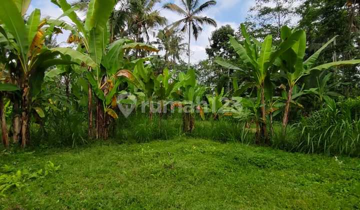 Di Jual Tanah Size Kecil 6 Are Tanah Mengotak