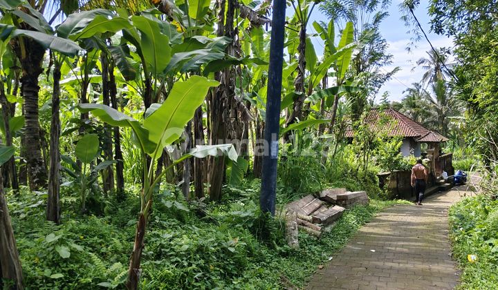 Owner Needs Quick Money for Dry Land Ready to Build On