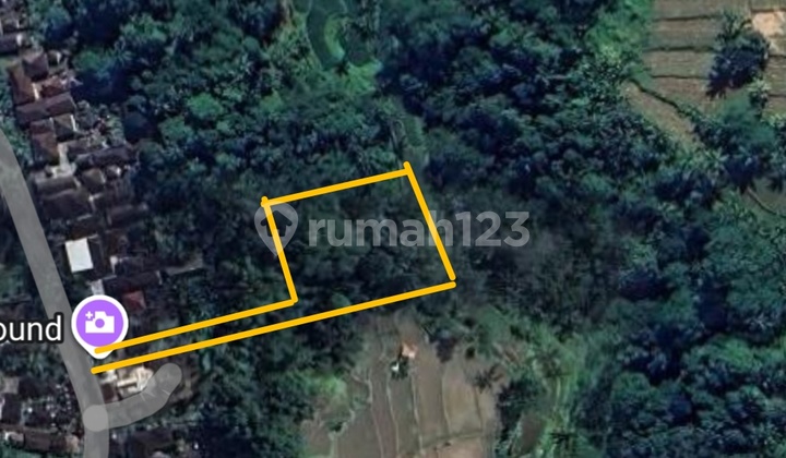 Good Land with Rice Field View for Rent