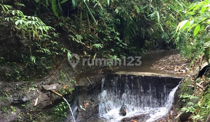 Di Jual Tanah Perkebunan Sangat Cocok Untuk Investasi