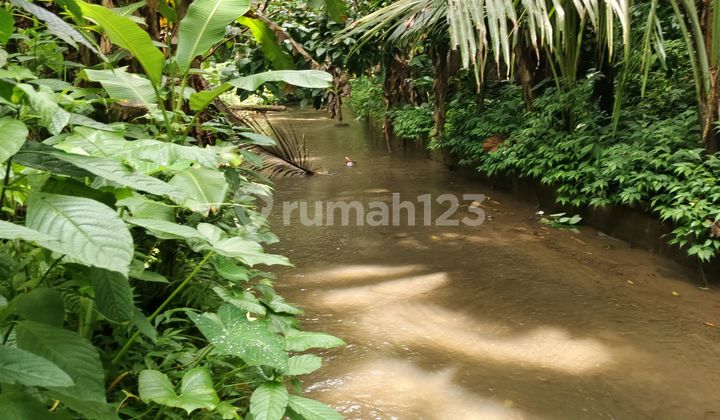 Tanaj 1,37 Hektar Lingkunhan Vill