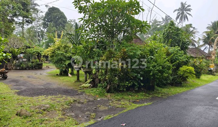 Strategic Land by the Road 100% Flat Ready to Build