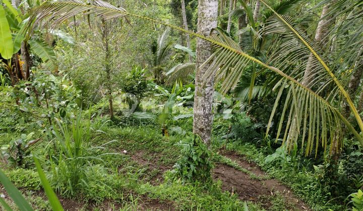 Tanah di Bali View Lembah Hutan Pinggir Sungai