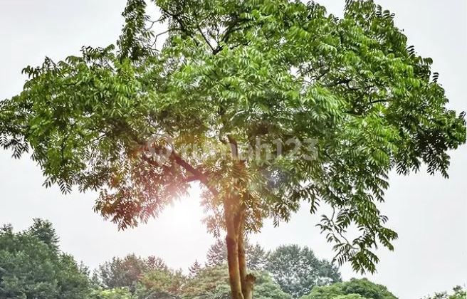 Elegant Home Near Ronggowarsito Thamrin Pekanbaru 2