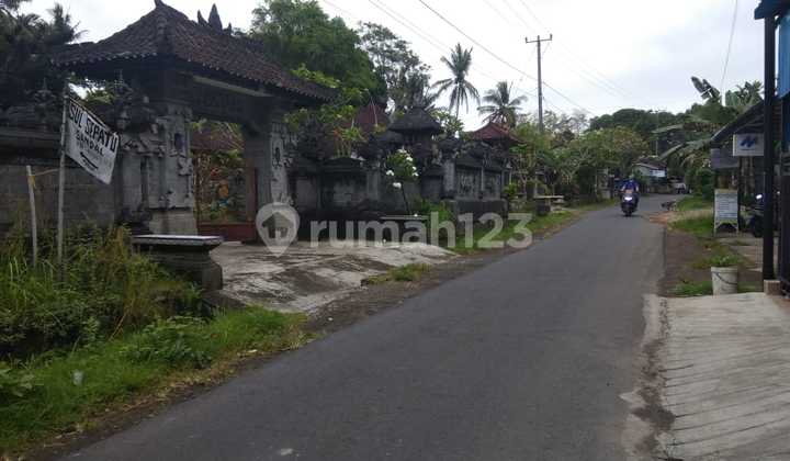 For Sale Fast Shop House + Basement Super Cheap Kediri Tabanan Bali 2