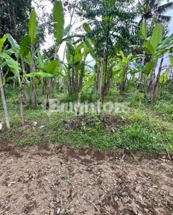 Hot Deal Jual Tanah Desa Buahan Payangan Ubud Fgtb