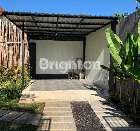 Villa for Rent in Betngandang, Sanur - Strategic, Stylish & Ready to Move In Villa for Rent in Betngandang, Sanur - Strategic, Stylish & Ready to Move In
