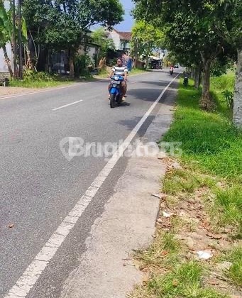 Tanah Pinggir Jalan Raya Dekat Kampus Triatmuly Jembrana Tanah Pinggir Jalan Raya Dekat Kampus Triatmuly Jembrana