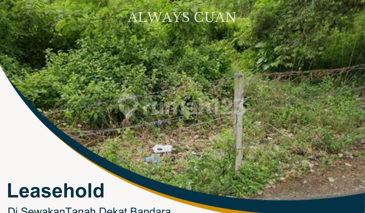 Large Land for Rent in Jimbaran Large Land for Rent in Jimbaran