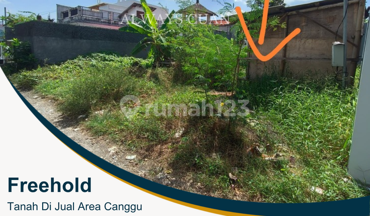 Di Jual Tanah Luasan 200 Meter Canggu Area