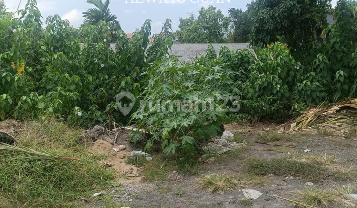 Tanah Murah Arah ke Pantai Pererenan Dijual Tanah Murah Arah ke Pantai Pererenan Dijual