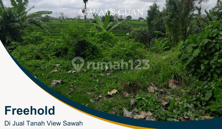 Land For Sale Near The Beach Land For Sale Near The Beach