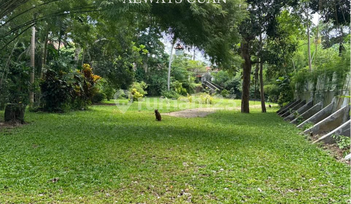 Tanah Murah Lokasi di Krobokan Bali , Sangat Cocok untuk Inveastasi