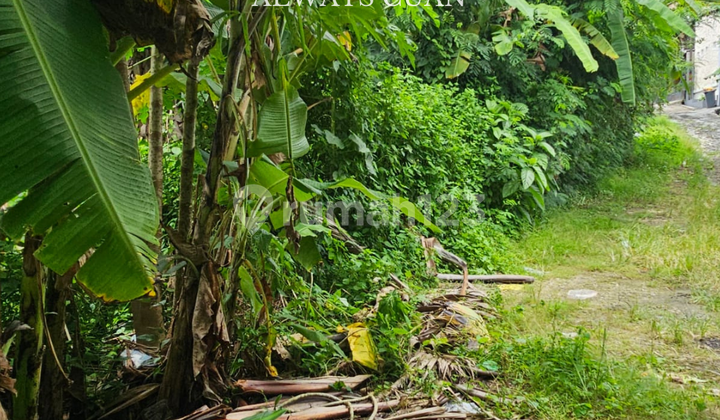 Flat Land with River View Umalas Location For Sale