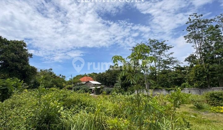 Tanah Datar Disewakan, Dekat Akses ke Pantai