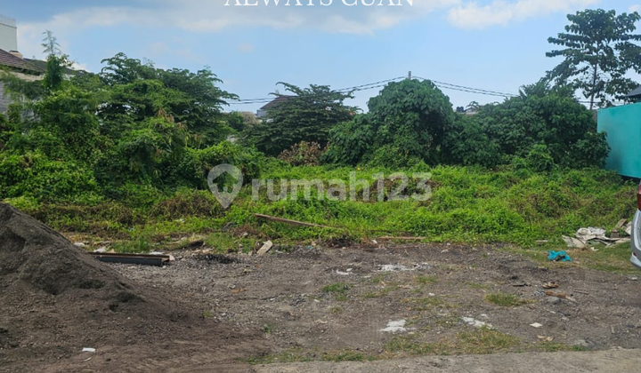 Tanah Datar Dijual Lokasi Umalas, Kerobokan Tanah Datar Dijual Lokasi Umalas, Kerobokan