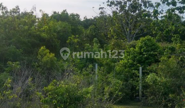 Di Jual Tanah Akses Strategis Zona Pink Siap Bangun Di Jual Tanah Akses Strategis Zona Pink Siap Bangun