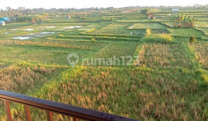 Rumah Siap Huni dengan Halaman Luas Dijual 2