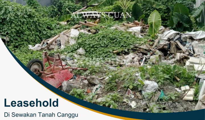 Tanah di Sewakan Area Canggu Bali