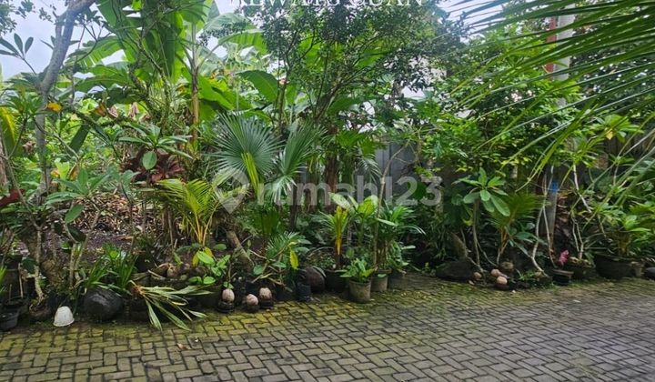 Villa lot ready to build, Canggu Villa lot ready to build, Canggu