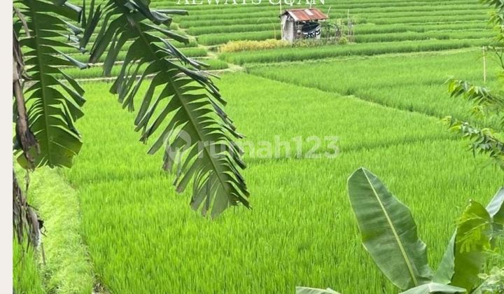 Main Road Access Land for Sale in Canggu Area, Ready to Build Main Road Access Land for Sale in Canggu Area, Ready to Build