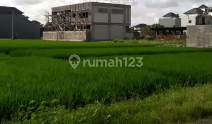 Tanah Datar Area Denpasar Barat Disewakan Tanah Datar Area Denpasar Barat Disewakan