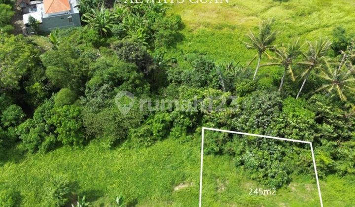Tabanan Plot of Land for Sale, Close to Beach Access and Ngurah Rai Airport.