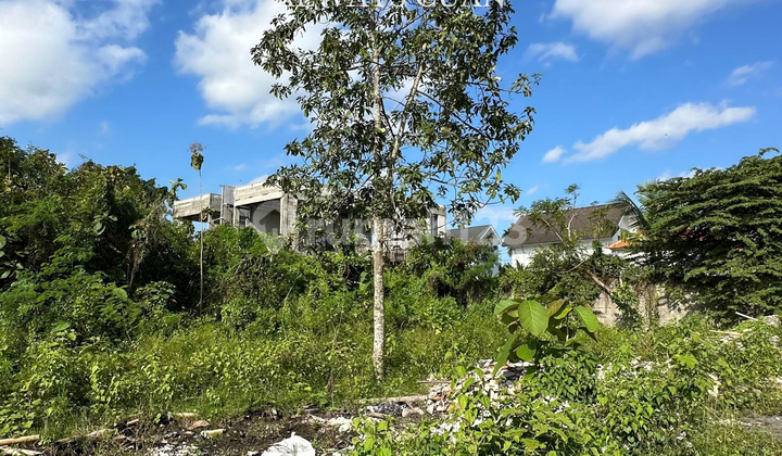 Tanah Kawasan Villa Siap Disewakan Jangka Panjang Tanah Kawasan Villa Siap Disewakan Jangka Panjang