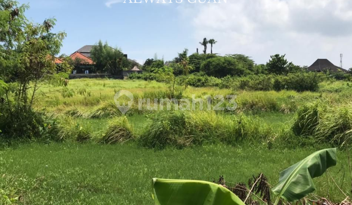 Tanah luasan besar zona campuran area kerobokan Tanah luasan besar zona campuran area kerobokan
