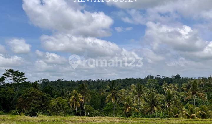 Flat Land Location Gianyar Suitable for Investment For Sale