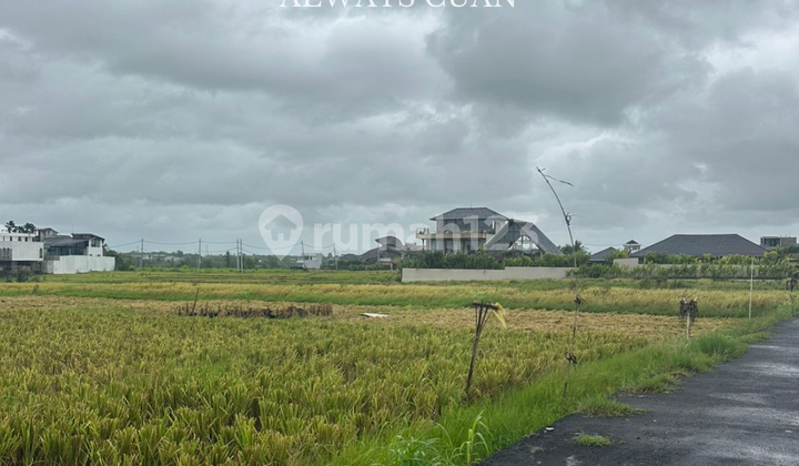 Land for Sale Near Cemagi Beach Location Land for Sale Near Cemagi Beach Location