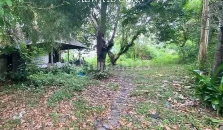 Land for Sale in Pererengan Area, Close to Tourist Attractions