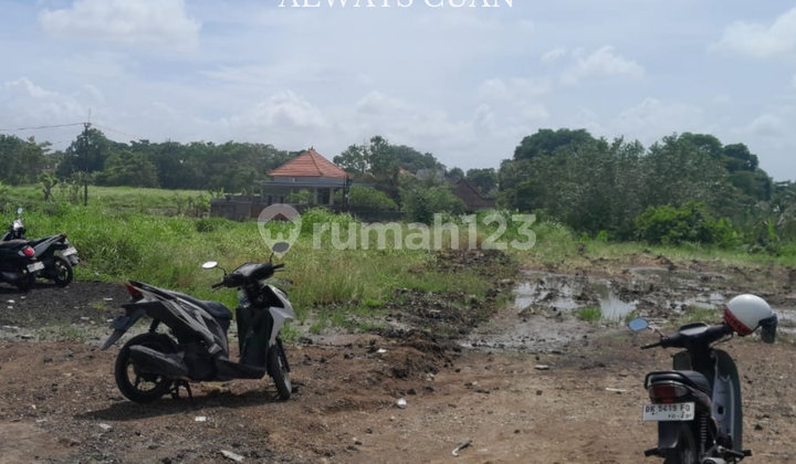 Tanah Datar di Jual Area Kaba-Kaba Munggu