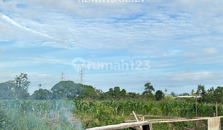 Tanah Lokasi Buduk Banjar Kaja Dijual