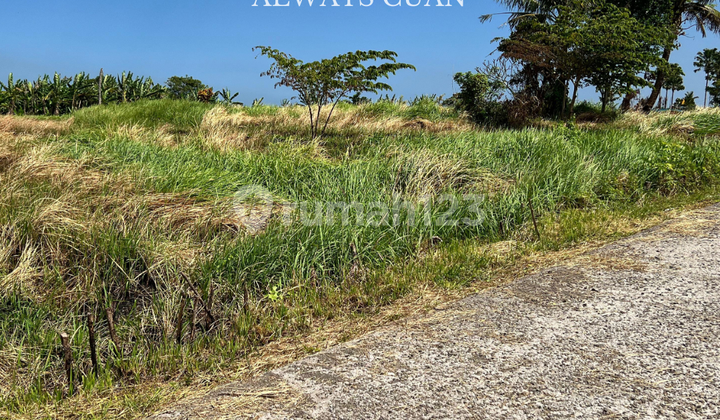 Tanah Kavling Villa Ekslusif Lokasi Belalang Dijual