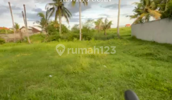 Ready-to-Build Land for Sale Cheap Location Tabanan